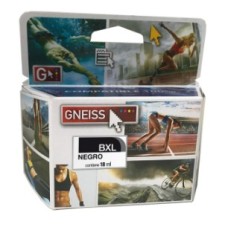 CARTUCHO GNEISS HP 74 XL NEGRO ALT