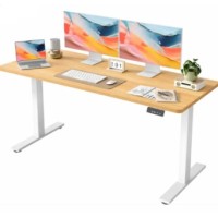 ESCRITORIO GLOBAL ELECTRICO 120X60CM/WLN-W/REGULAB